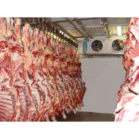 Холодильная камера для хранения мяса