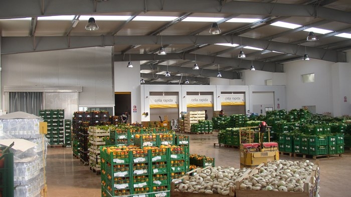 stroitelstvo ovoshhexranilishha pod klyuch ukraina cena 00012